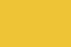 สีเหลืองอีพ็อกซี่ Yellow Color Epoxy
